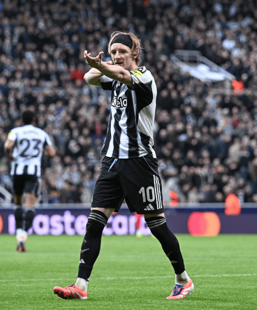 登录入口-今夜纽卡斯尔调整名单以备社区盾，豪取连胜环节打磨，气氛紧张，团队化学反应显著的简单介绍